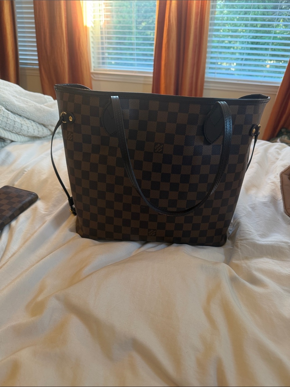 Louis Vuitton Brown Damier Check Canvas Tote